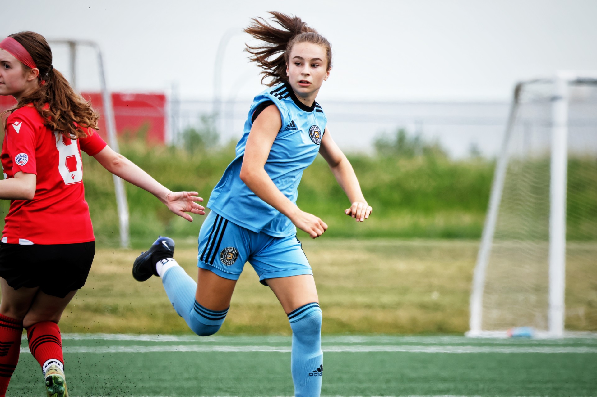 12.11.2025 Blog on Annalise Cicoria 2