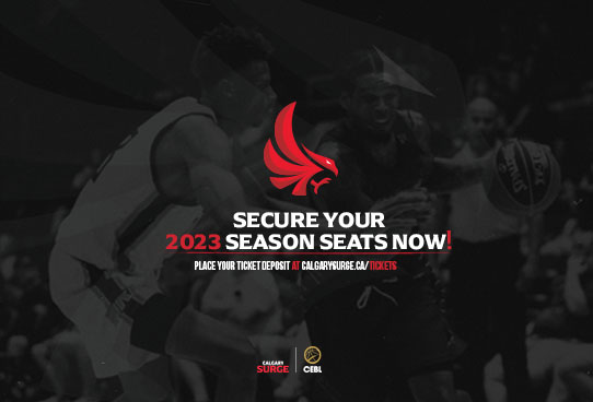 CGY SURGE WINSPORT WEBSITE SIZE
