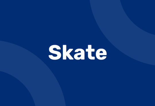 One Day Camps Skate