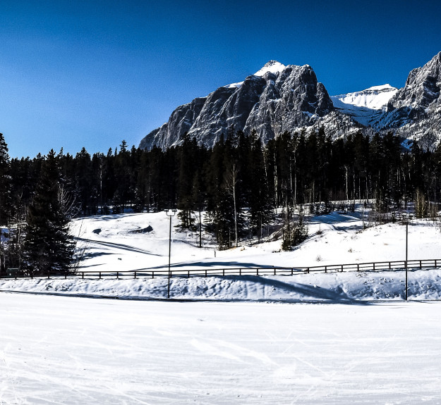 cross country trail at canmore nordic centre 