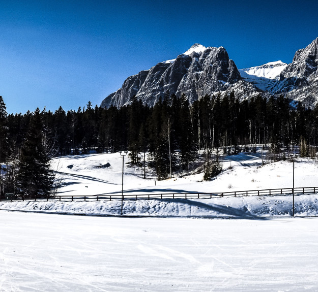 cross country trail at canmore nordic centre 