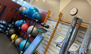 Exercise bars and balls at bill warren training centre 