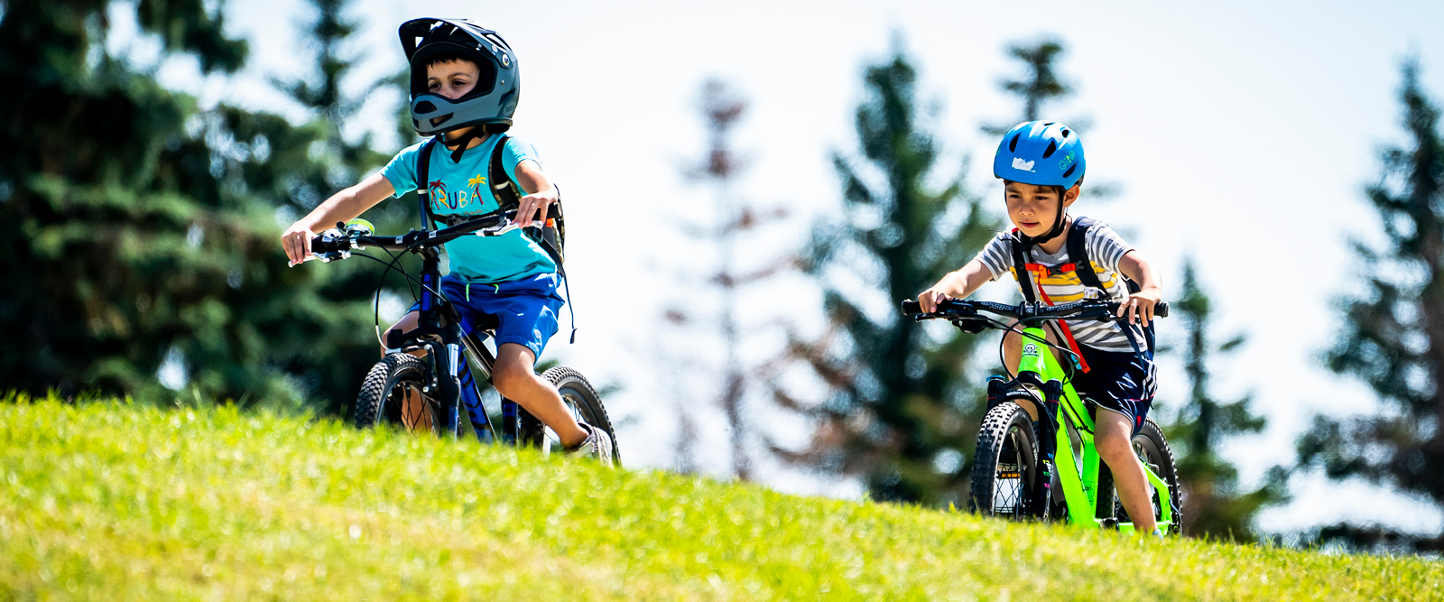 mountain bikers