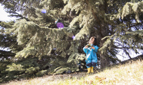 Girl Playing In Trees at winsport 