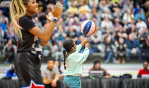 Winsport HarlemGlobetrotters 93102251