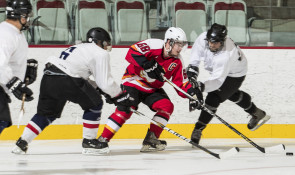 Winsport Adulthockey gameaction