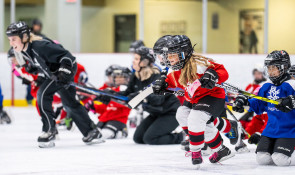Winsport SummerCamps Hockey 1105347
