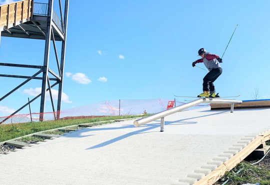 FreestyleSki