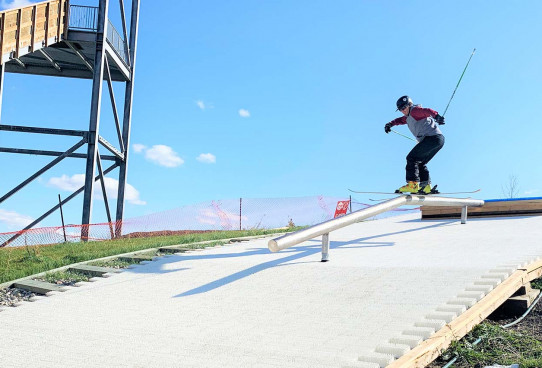FreestyleSki