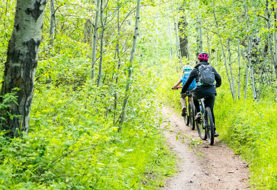Two mountain bikers riding up into the tree covered trails at WinSport