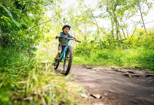 Winsport SummerCamps 92107854