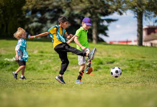 Winsport SummerCamps 93105513