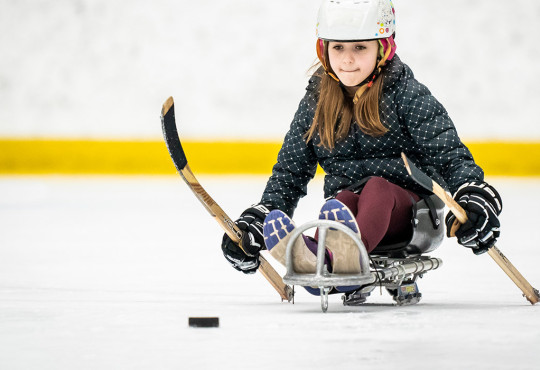 Young girl playing sledge hockey chasing a puck for the first time