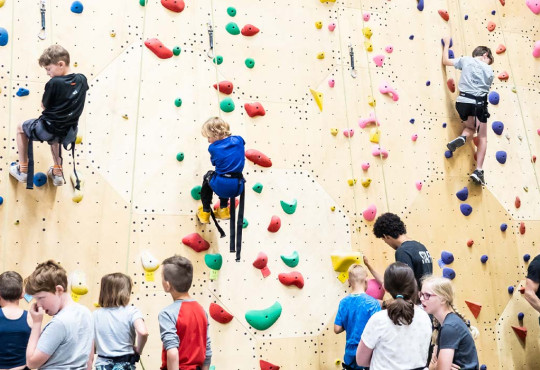 group of children rock climbing side by side
