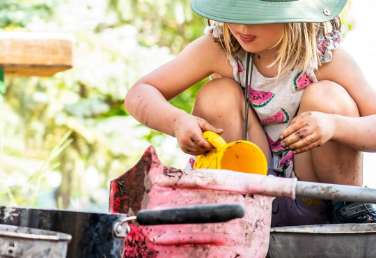 Wilderness Explorers Camp